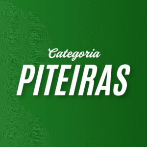 Piteiras
