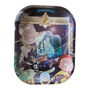Bandeja Rick and Morty 2