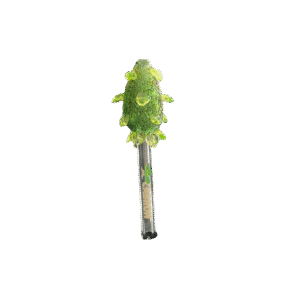 Piteira Bud Neon