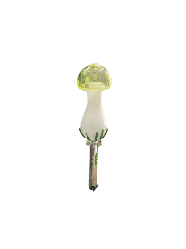 Piteira Cogumelo Neon